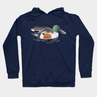 Northern Shoveler Duck Digital Illustration Hoodie